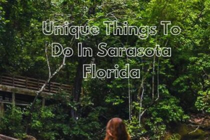 Things To Do In Sarasota Florida